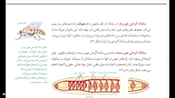 #تدریس#زیست#بدون#کرونا#کلاس#ان...