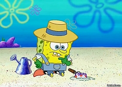 کارتون باب اسفنجی باب اسفنجی