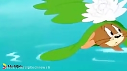 کارتون تام و جری تام و جری