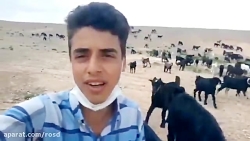 آواز بسیار زیبایی توسط سروش رض...