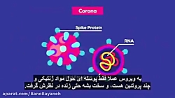کرونا - بهترین انیمیشن تشریحی...