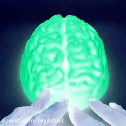 ویدیوی آرامش بخش  206