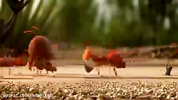 انیمیشن خنده دار کشتن مورچه خو...