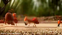 انیمیشن خنده دار کشتن مورچه خو...