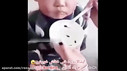 قورباقه بخور بزرگ شدی خفاش مید...