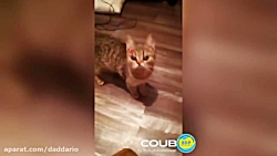 کلیپ فوق العاده خنده دار و جال...