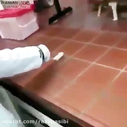 تست واکسن و داروی کرونا روی مو...