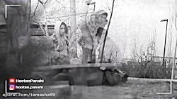 طنز جدید ...دوربین مخفی وحید م...