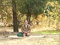 شبهای برره ۳۹(رکسانا میایید*)