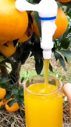 این چالش ها معرکه هستند