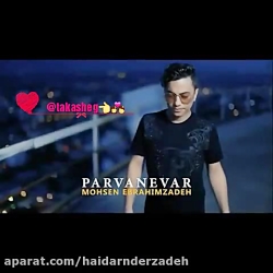 محسن ابراهیم زاده