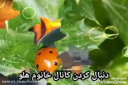 آهنگ دل نشکن مهدی احمدوند ♪♪♫♫...