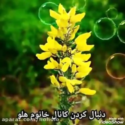آهنگ مهدی احمدوند عشقم دلتنگتم...