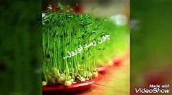 چون رسد نوروز، فهیمه منصوری،خو...