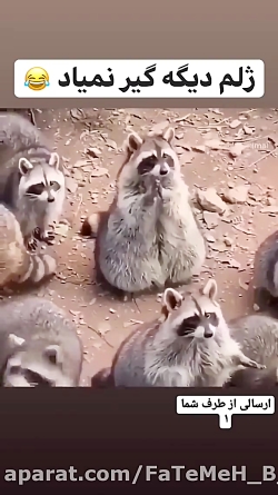 طنز - ژلم دیگه گیر نمیاد