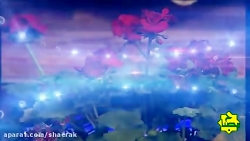 ویژه برنامه ولادت امام سجاد عل...