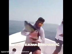 جایزه بهترین صداگذاری تعلق میگ...