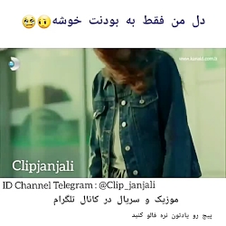 ویدیو کلیپ عاشقانه - دل من فقط...