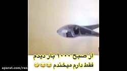 از صبح 1000 بار دیدم