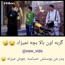 سه در چهار  گربه اون بالا بچه...