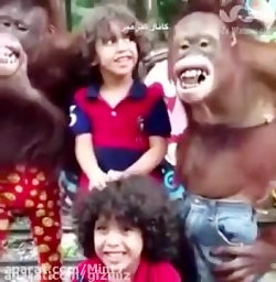 چقدر با مزه هستن این میمون ها