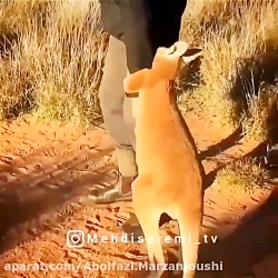 استاد فقط نیم نمره خنده دار و...