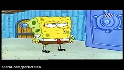 باب اسفنجی باب اسفنجی عضلانی