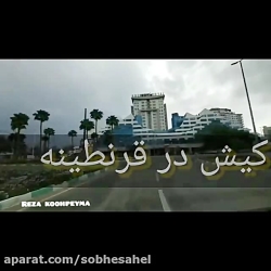 کیش در قرنطینه