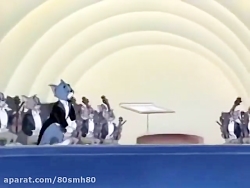 تام و جری ، موش و گربه 52 Tom...