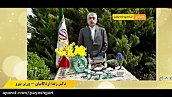 پیام تبریک نوروزی وزیر نیرو در...