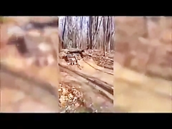 کلیپ شاد و خنده دار (8)