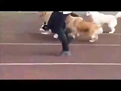 کلیپ های جالب کلیپ خنده دار خا...