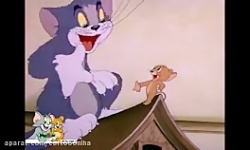 کارتون تام و جری تام و جری