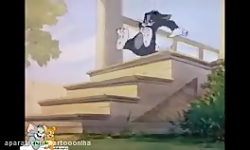 کارتون تام و جری تام و جری