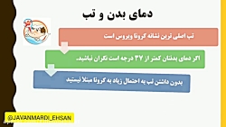 نایس:فیل