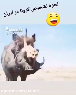 نحوه تشخیص کرونا در ایران