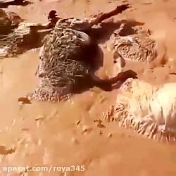 هزاران زندگی که با سیل دیروز د...