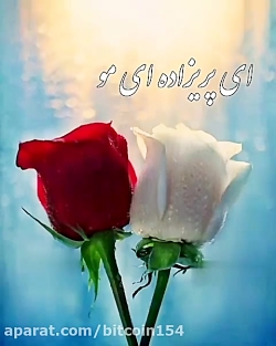 آتشم باش  حجت اشرف زاده