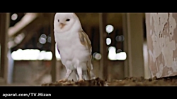 تریلر فیلم « Last Summer 2018...