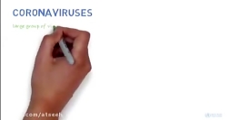 ویدیویی که سازمان بهداشت جهانی...