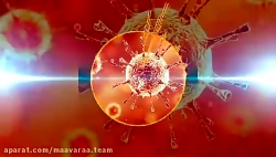 کرونا آموخت ، بیتا رستمی ، زهر...