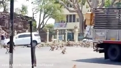 ‏در پی شیوع ویروس کرونا و کاهش...