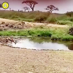 فوتبالی_تکنیک های جذاب فوتبالی...