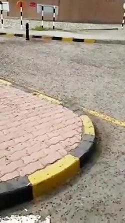 حمله مورچه  ها در پاسگاه مهران...