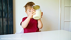 آزمایش 4: کره ی خانگی