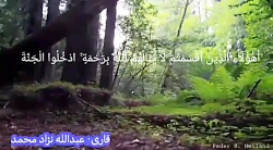 قرائت زیبای حافظ عبدالله نژادم...