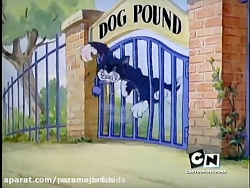 کارتون موش و گربه 52