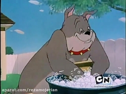 کارتون موش و گربه 54