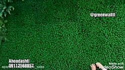 گرین وال سبز شمشادی