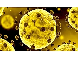 تولید واکسن کرونا *** خبر فوری